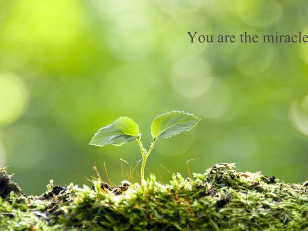 You_are_the_miracle
